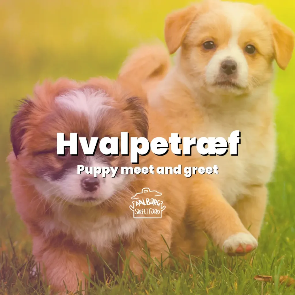 Hvalpetræf